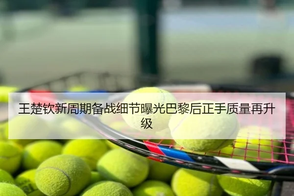 王楚钦新周期备战细节曝光巴黎后正手质量再升级